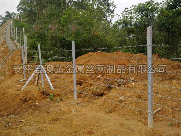 刺鐵絲隔離柵 (1)