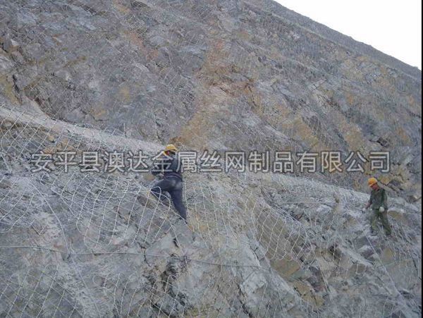 SNS主動防護網 (3)