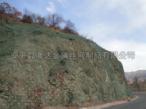 SNS主動防護網 (6)