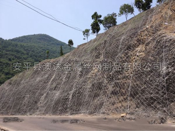 SNS主動防護網 (4)