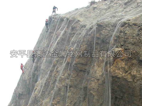 SNS主動防護網 (8)