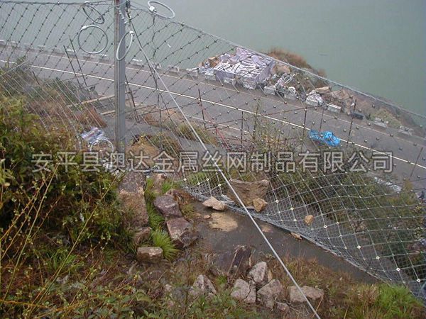 SNS被動防護網 (1)