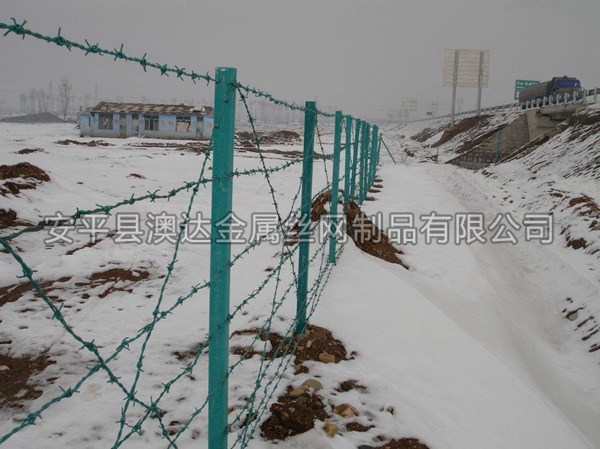 刺鐵絲隔離柵 (4)