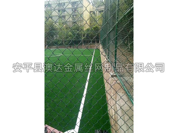 足球場圍網(wǎng) (7)