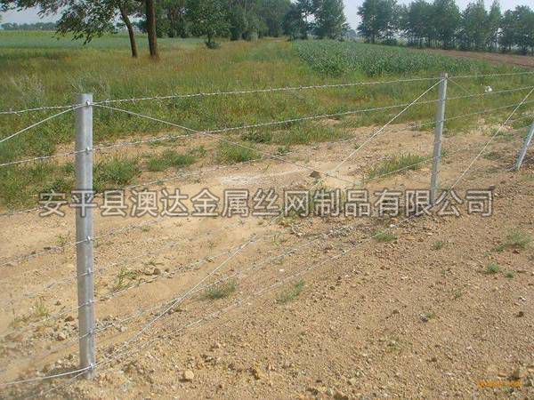 刺鐵絲隔離柵 (2)